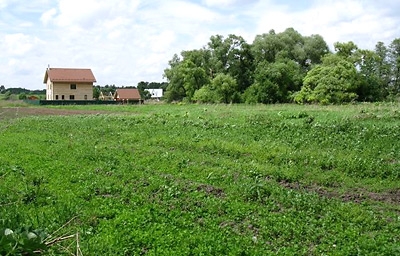 Купить участок земли в деревне - Подмосковье